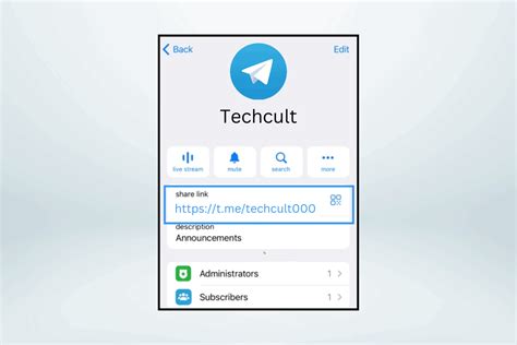 How to Get My Telegram Profile Link – TechCult.